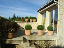 Maison, dépendances, grand terrain