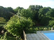 Maison, dépendances, grand terrain