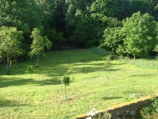 Maison, dépendances, grand terrain