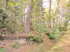 Terrain à vendre de 2 187,00 m² MEZERAY (72)