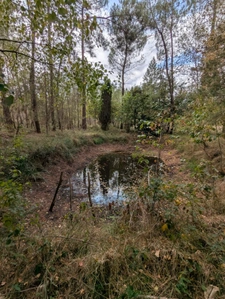 Terrain à vendre de 2 187,00 m² MEZERAY (72)