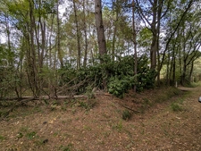 Terrain à vendre de 2 187,00 m² MEZERAY (72)