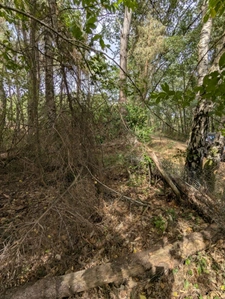 Terrain à vendre de 2 187,00 m² MEZERAY (72)
