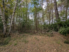Terrain à vendre de 2 187,00 m² MEZERAY (72)