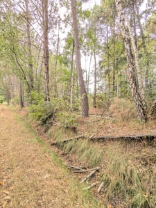 Terrain à vendre de 2 187,00 m² MEZERAY (72)