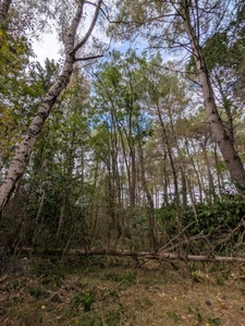 Terrain à vendre de 2 187,00 m² MEZERAY (72)
