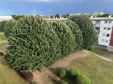 SAINT JEAN DE LA RUELLE au pied du Tram Rol Tanguy Appartement en bon état de près de 70m2