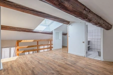 Appartement Loft T2 65 m2 OULLINS PIERRE-BÉNITE 