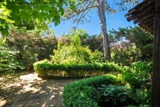 Maison de campagne dans parc arboré 3000 m². Moissieu sur Dolon 38270