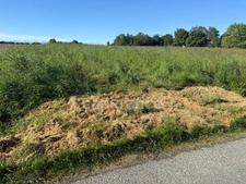 Terrain agricole à vendre RIEUMES (31)