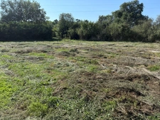 Terrain plat à vendre  BERAT (31)