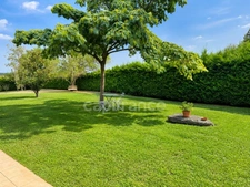 Maison de plain-pied 160 m² – 4 chambres, bureau, terrain arboré de 2 500 m²