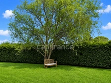 Maison de plain-pied 160 m² – 4 chambres, bureau, terrain arboré de 2 500 m²