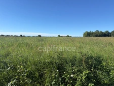 Terrain agricole à vendre RIEUMES (31)