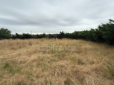 Terrain plat à vendre  BERAT (31)