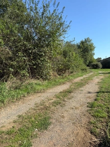 Terrain plat à vendre  BERAT (31)