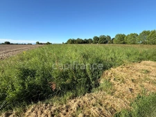 Terrain agricole à vendre RIEUMES (31)