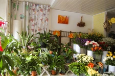 Prix à la baisse pour cette maison à vendre 5 pièces à CAZAUBON (32)