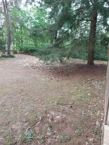 Maison sur un terrain de 4 000 m² – DOLLON