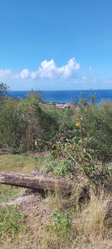 Baillif. Terrain 1095 m2 avec vue mer exceptionnelle