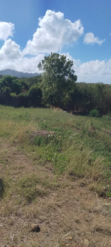 Baillif. Terrain 1095 m2 avec vue mer exceptionnelle