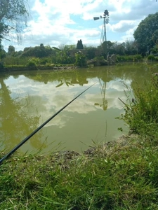 Dpt Maine et Loire (49), à vendre proche de SEICHES SUR LE LOIR maison de plain pied 