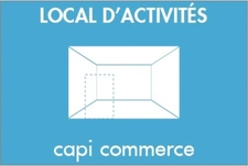 Local d'activité à vendre MIRIBEL (01)-locaux d'activité/entrepot + bureaux de 2600m2 environ, option ERP 5eme catégorie obtenue