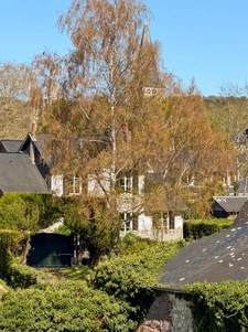 Saint-Martin-de-Boscherville - Magnifique maison contemporaine 338 m²
