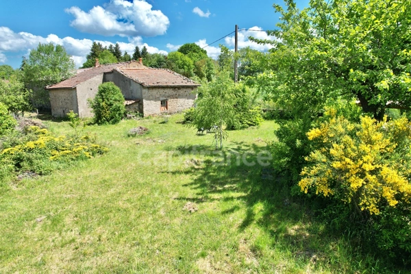 MAISON À RÉNOVER DE 100 M2, TERRAIN DE 965 M2, 3 CHAMBRES, 117 M2 DE DÉPENDANCES, GARAGE, CAVE, FOUR À PAIN, SOURCE