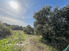 TERRAIN CONSTRUCTIBLE - EGUILLES _ Terrain de 3000m2 _ Libre Constructeur