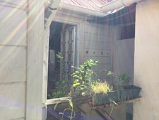 Maison de ville spacieuse au cœur de Basse-Terre – 315 000 €*