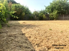 Terrain à vendre de 490 m2 + 108m2 (accès) Viabilisé à SAINT GILLES CROIX DE VIE (85)