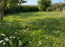 À VENDRE – TERRAIN DE 880 M² À VAL-DE-VIRVÉE