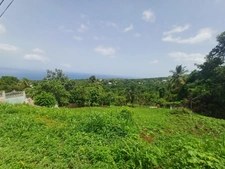 Terrain à vendre de 1 056,00 m² BAILLIF (971)