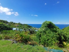 Terrain à vendre de 4 516,00 m² BOUILLANTE (971)