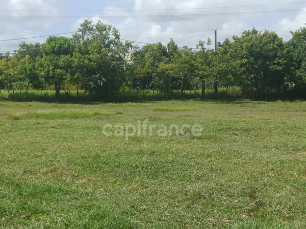 Terrain à vendre de 1 000,00 m² PETIT CANAL (971)