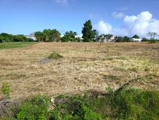 Terrain à vendre  ANSE BERTRAND (971)