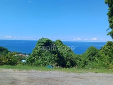 Terrain à vendre de 4 516,00 m² BOUILLANTE (971)