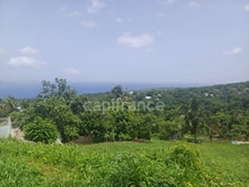 Terrain à vendre de 1 000,00 m² proche de Baillif (971)