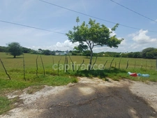 Terrain à vendre de 1 000,00 m² PETIT CANAL (971)