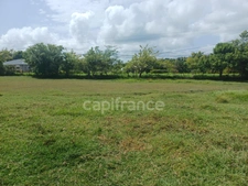 Terrain à vendre de 1 000,00 m² PETIT CANAL (971)
