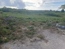 Terrain à vendre  proche de Anse Bertrand ()