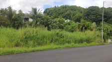 Terrain à vendre de 669 m² SAINTE ANNE (971)