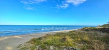 À vendre – Appartement T3 avec terrasse en bord de mer SAN NICOLAO (20230)