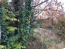 Terrain à vendre 9 ares  LONGWY (54)