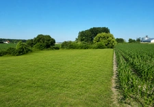 Grand terrain de loisirs de 4 500 m² – Maillé (37) – Nature et tranquilité