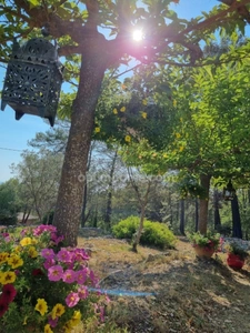 Maison provencale de 4 pièces à DRAGUIGNAN (83)
