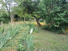Maison de caractère – Village perché de Bourgogne – 116 m² + greniers – Proche Pouilly-en-Auxois (8 km) – A6, Dijon, Beaune