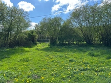 À vendre Maison avec dépendance sur plus de 1,5 hectare de terrain attenant 