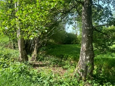 ENSEMBLE DE GRANGES ET TERRES – PLUS DE 7 HECTARES – ENTRE POUILLY-EN-AUXOIS ET SAULIEU